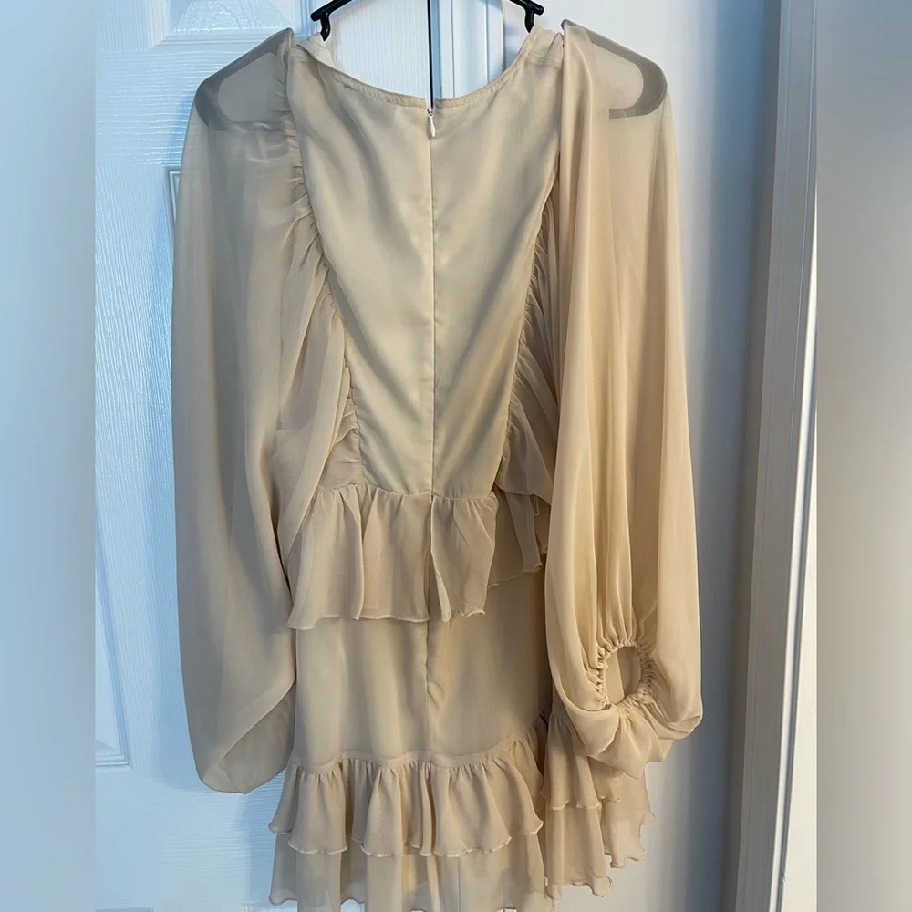 Vici Almost Lover Button Down Ruffle Dress - Picture 6 of 6